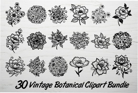 Download 30 Vintage Botanical Clipart Bundle - Clipart bundle Collection