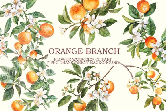 Download Orange Branch Clipart Bundle - Clipart bundle Collection