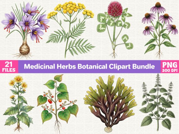 Download Medicinal Herbs Botanical Clipart Bundle - Clipart bundle Collection